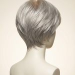 Wendy — Silver Grey Elegant Wig