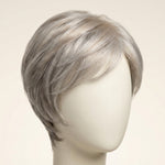 Wendy — Silver Grey Elegant Wig